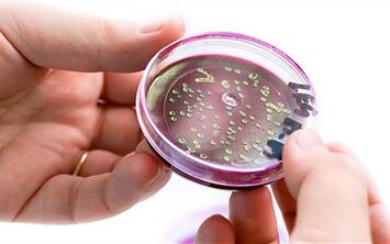 Bakterier i utsöndringen av prostata